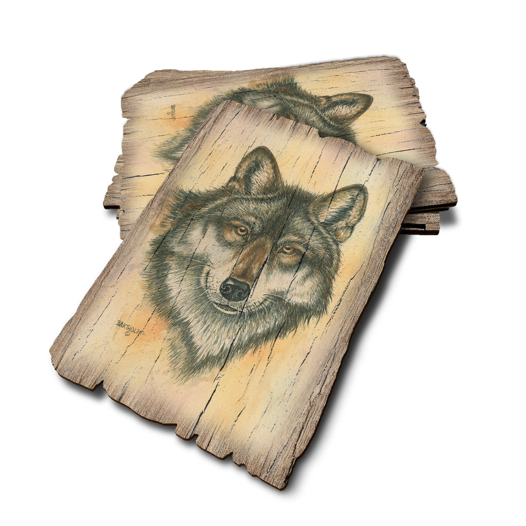 Bartholet's Alpha Wolf - Weathered Edge Rustic Edge Postcard (5pk // $2.80ea)