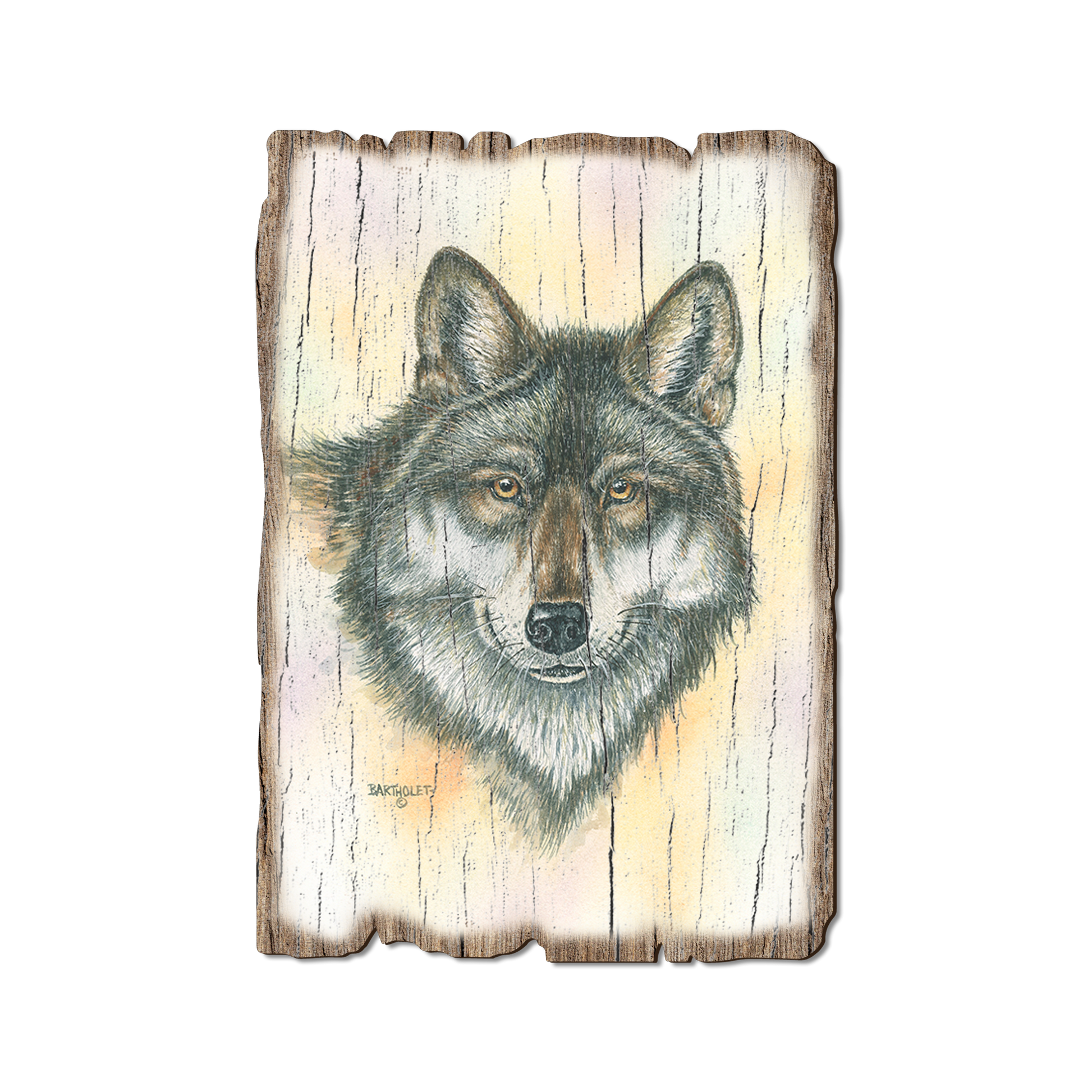 Postcard: Weathered Edge - Bartholet's Alpha Wolf