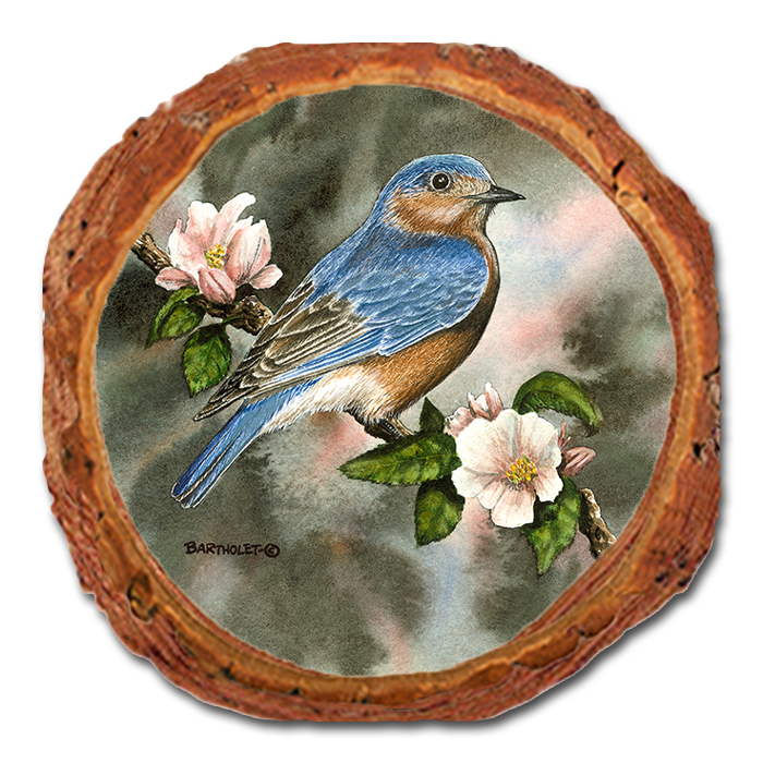 Coaster: Live Edge - Bartholet's Bluebird