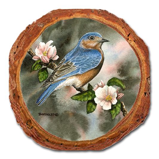 Coaster: Live Edge - Bartholet's Bluebird