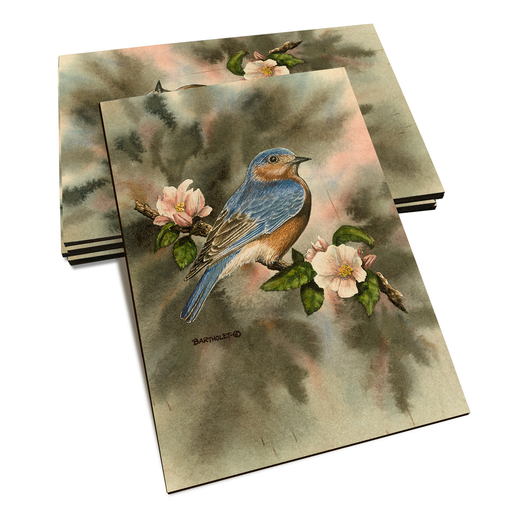 Bartholet's Bluebird  - Classic Edge Classic Edge Postcard (5pk // $2.80ea)