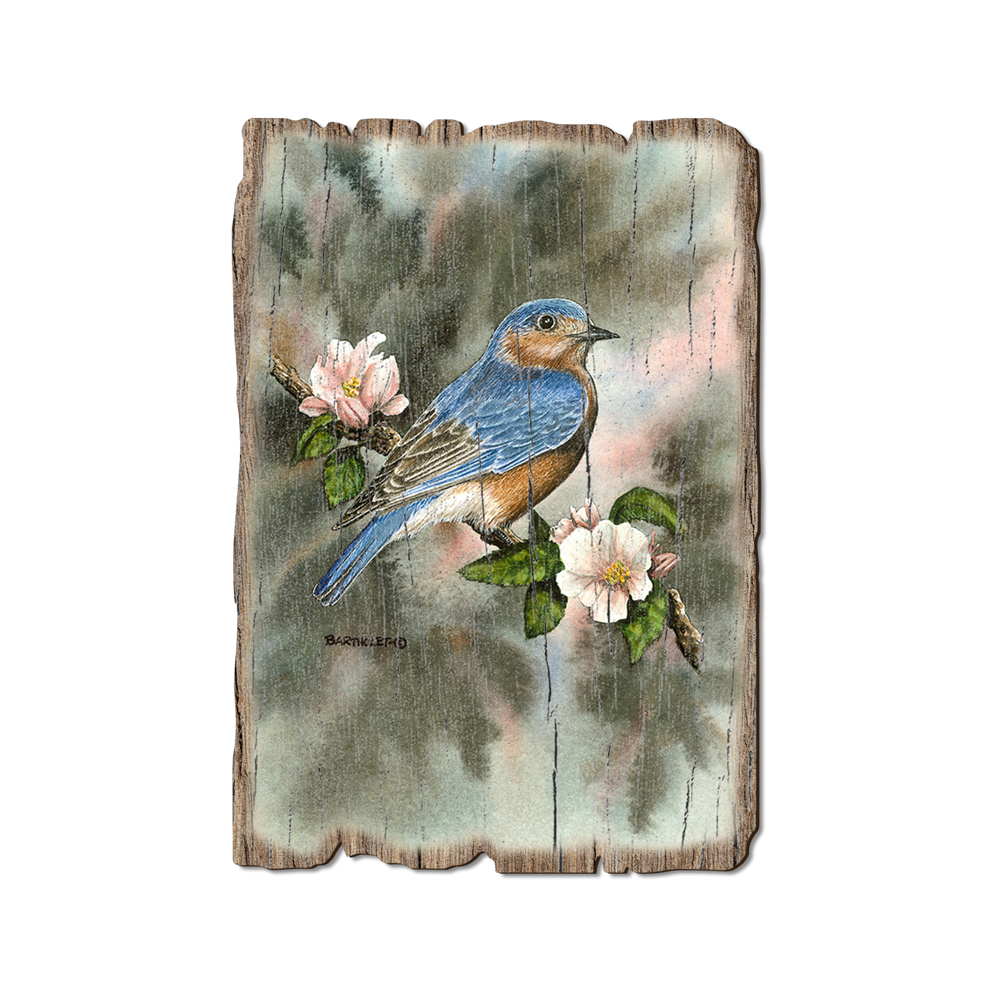 Greeting Card: Weathered Edge - Bartholet's Bluebird
