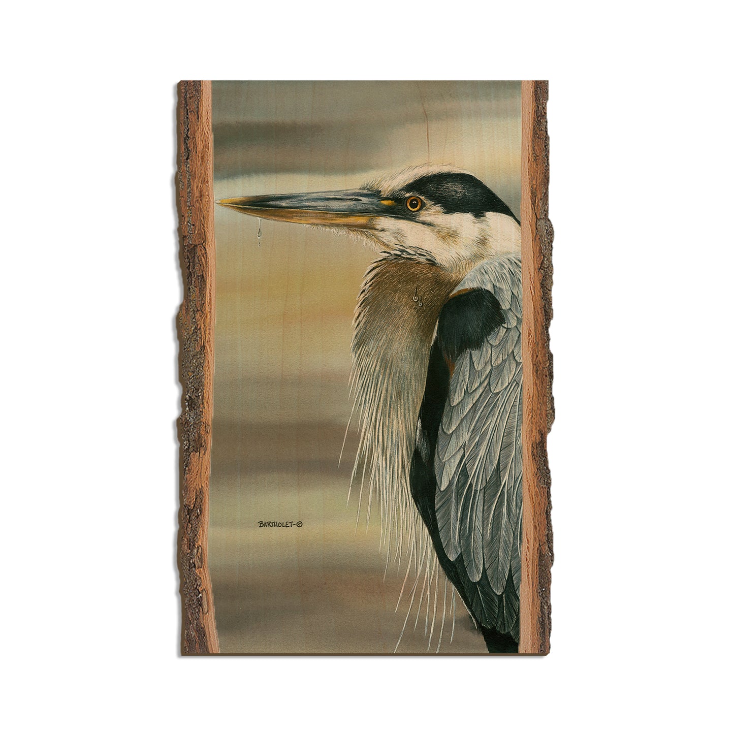 Bartholet's Big Blue  - Live Edge Live Edge Magnet (5pk // $2.80ea)