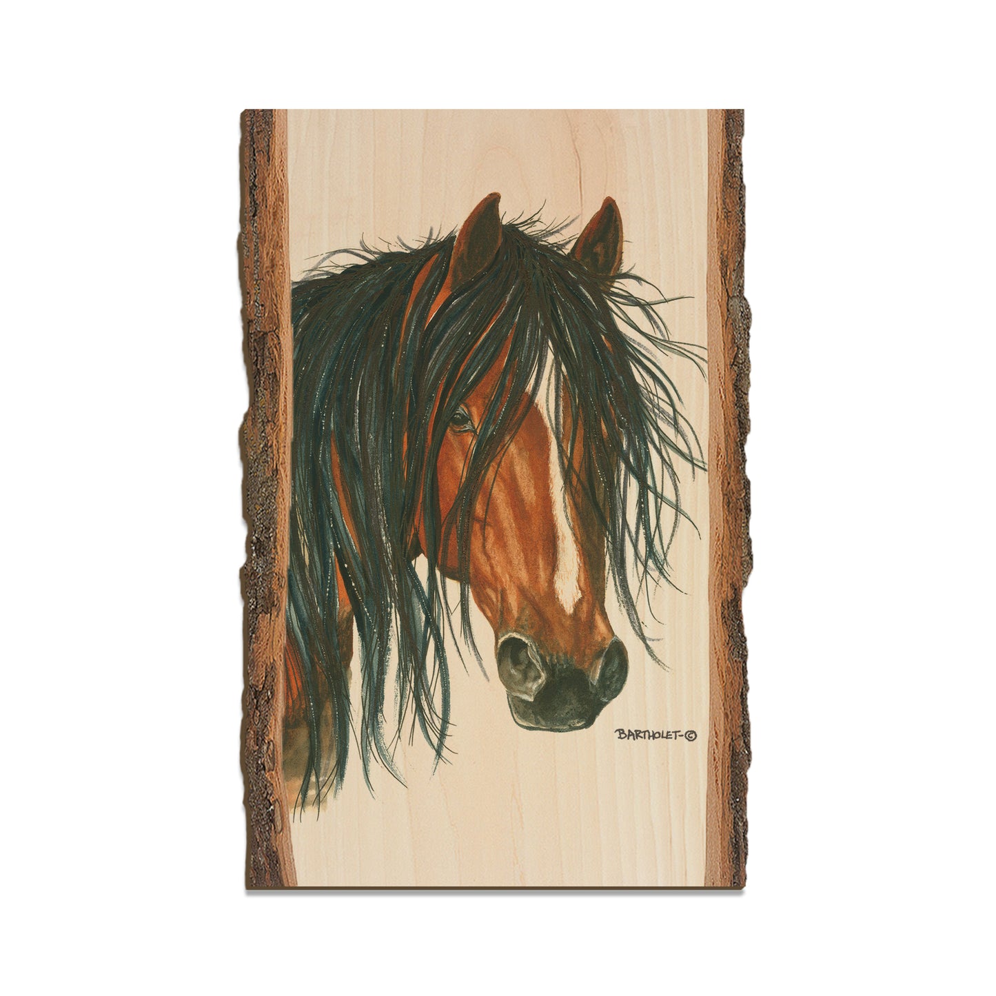 Bartholet's Bad Boy  - Live Edge Live Edge Magnet (5pk // $2.80ea)