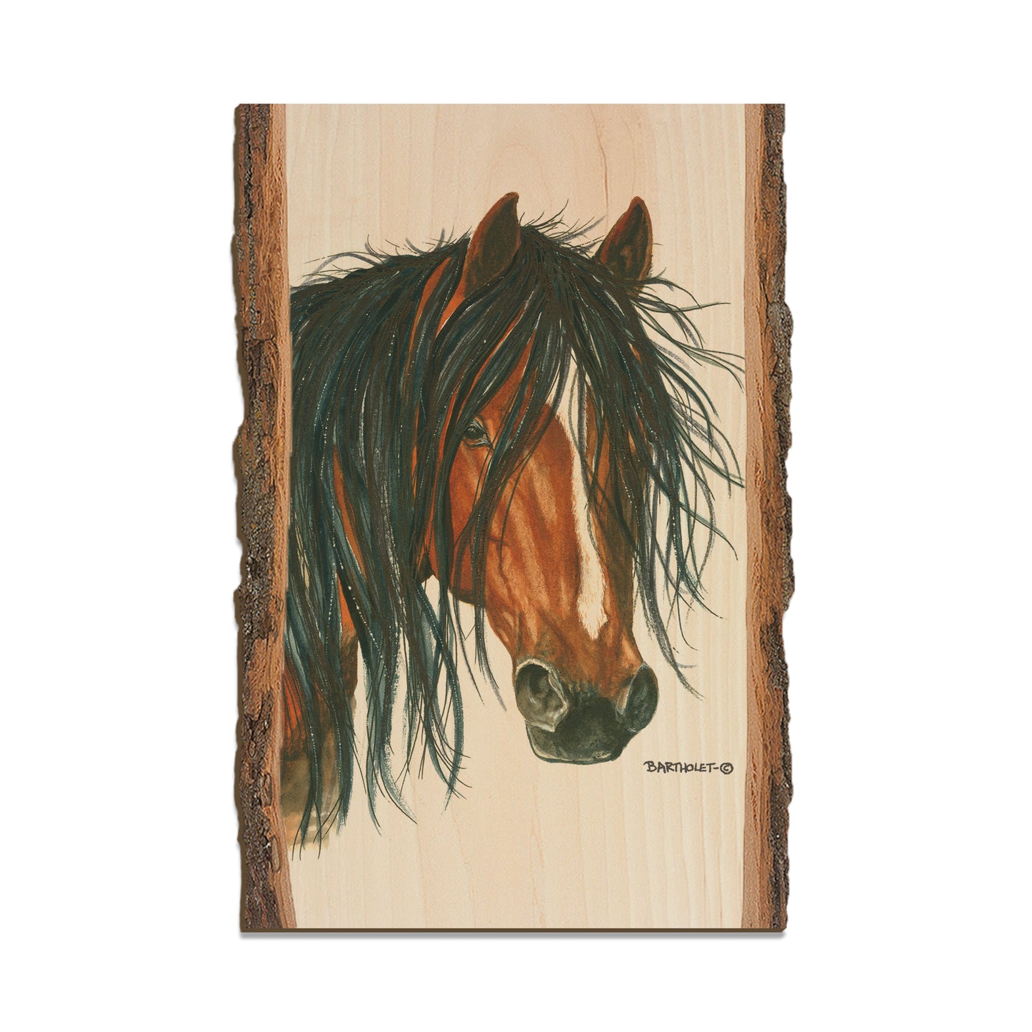 Bartholet's Bad Boy  - Live Edge Live Edge Postcard (5pk // $2.80ea)