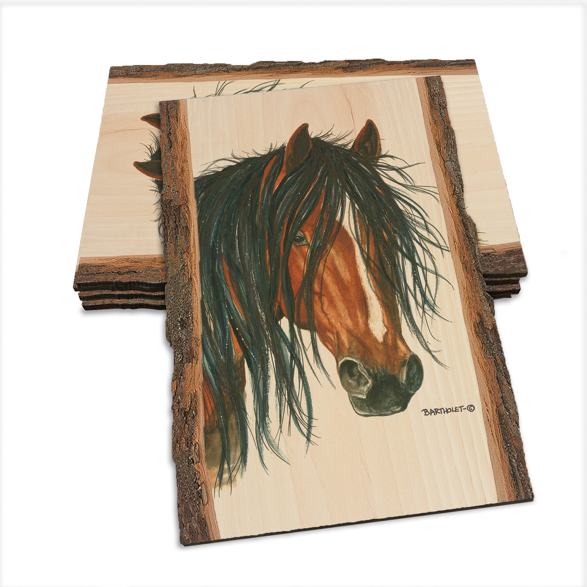 Bartholet's Bad Boy  - Live Edge Live Edge Postcard (5pk // $2.80ea)
