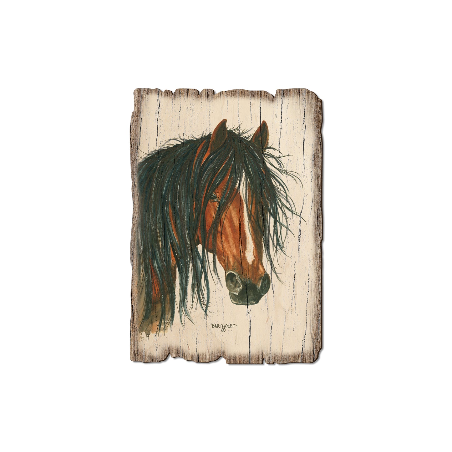 Bartholet's Bad Boy - Rustic Edge Postcards & Magnets Rustic Edge Magnet (5pk // $2.80ea)