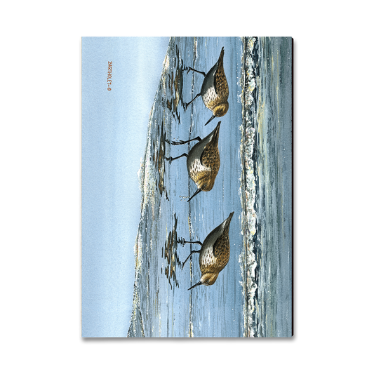 Magnet: Classic Edge - Bartholet's Beach Breakfast