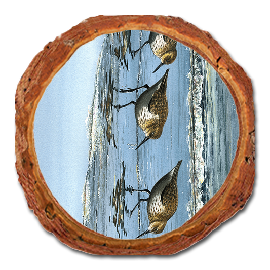 Coaster: Live Edge - Bartholet's Beach Breakfast