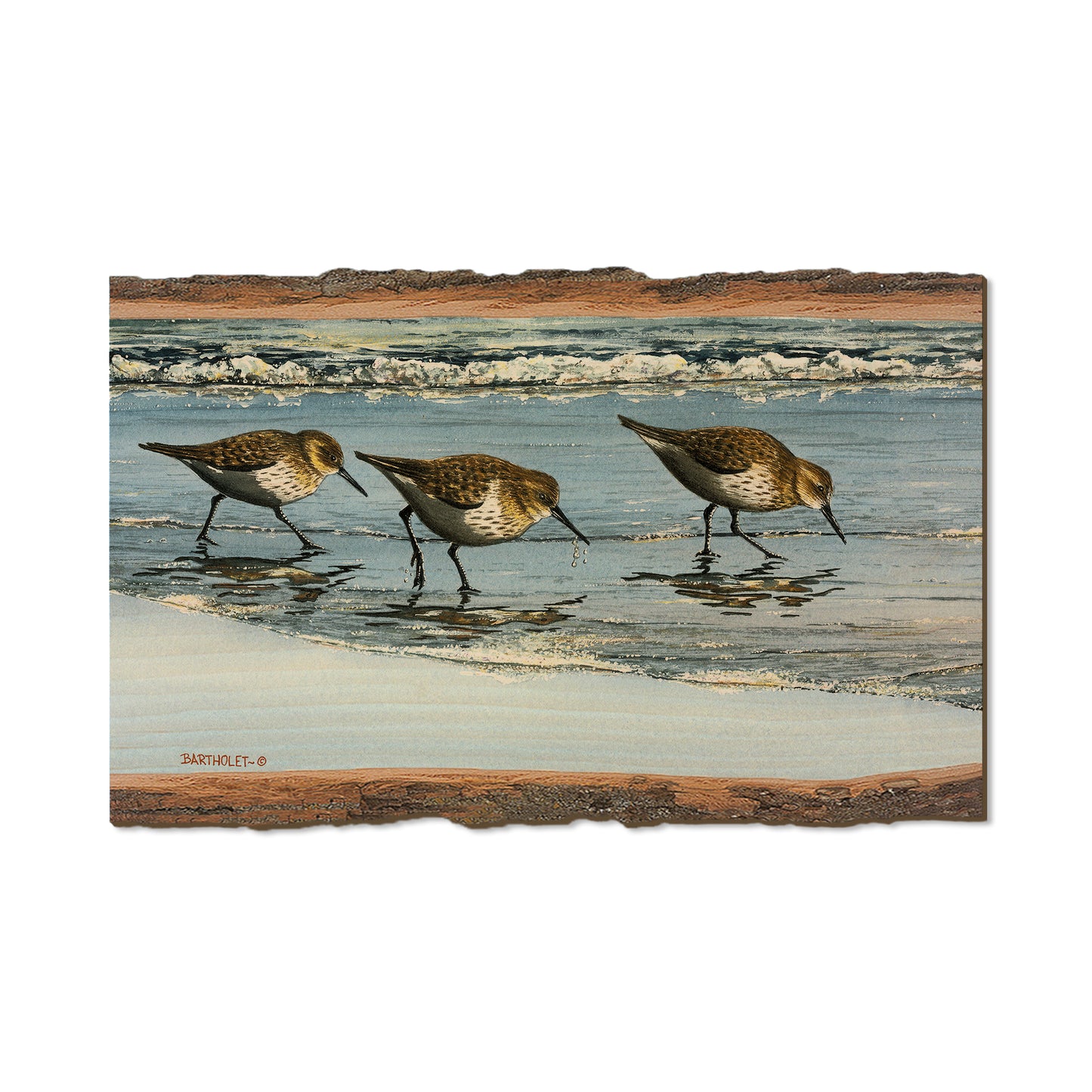 Bartholet's Beach Breakfast  - Live Edge Live Edge Magnet (5pk // $2.80ea)
