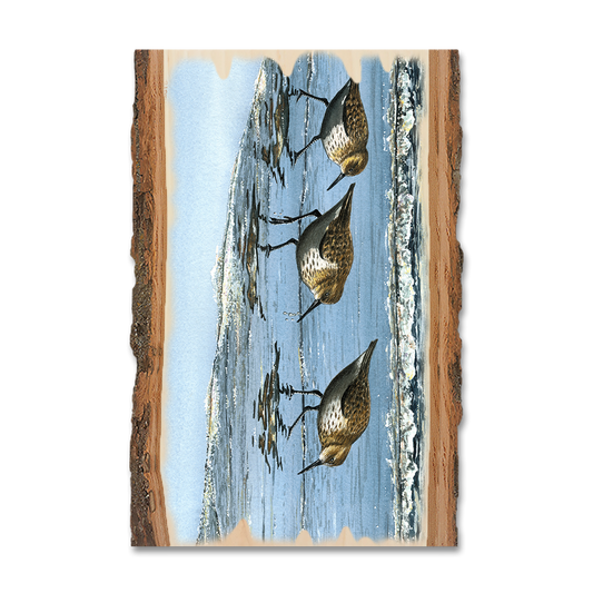Magnet: Live Edge - Bartholet's Beach Breakfast