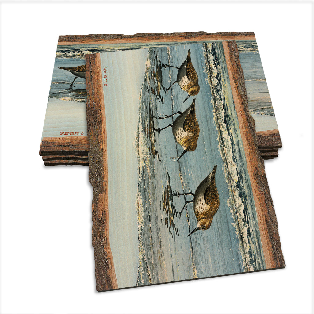 Bartholet's Beach Breakfast  - Live Edge Live Edge Postcard (5pk // $2.80ea)