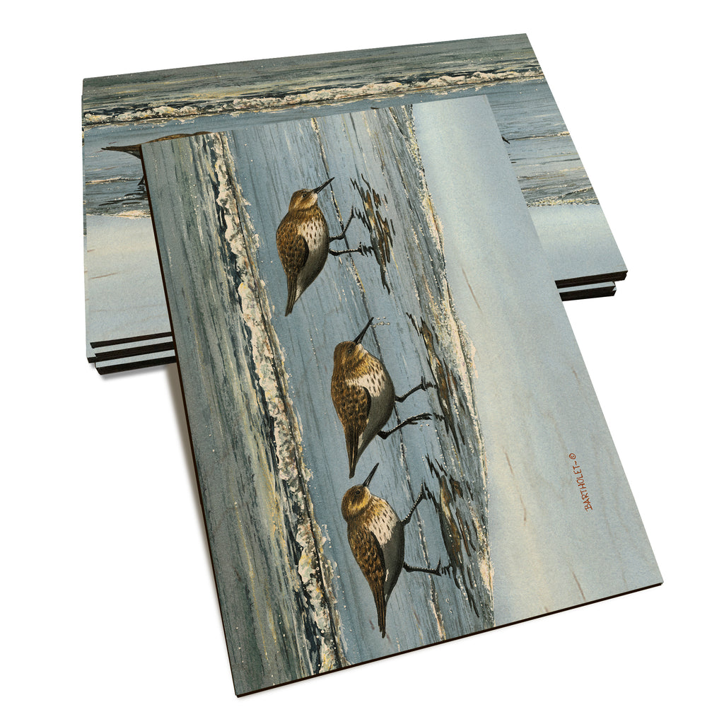 Bartholet's Beach Breakfast  - Classic Edge Classic Edge Postcard (5pk // $2.80ea)