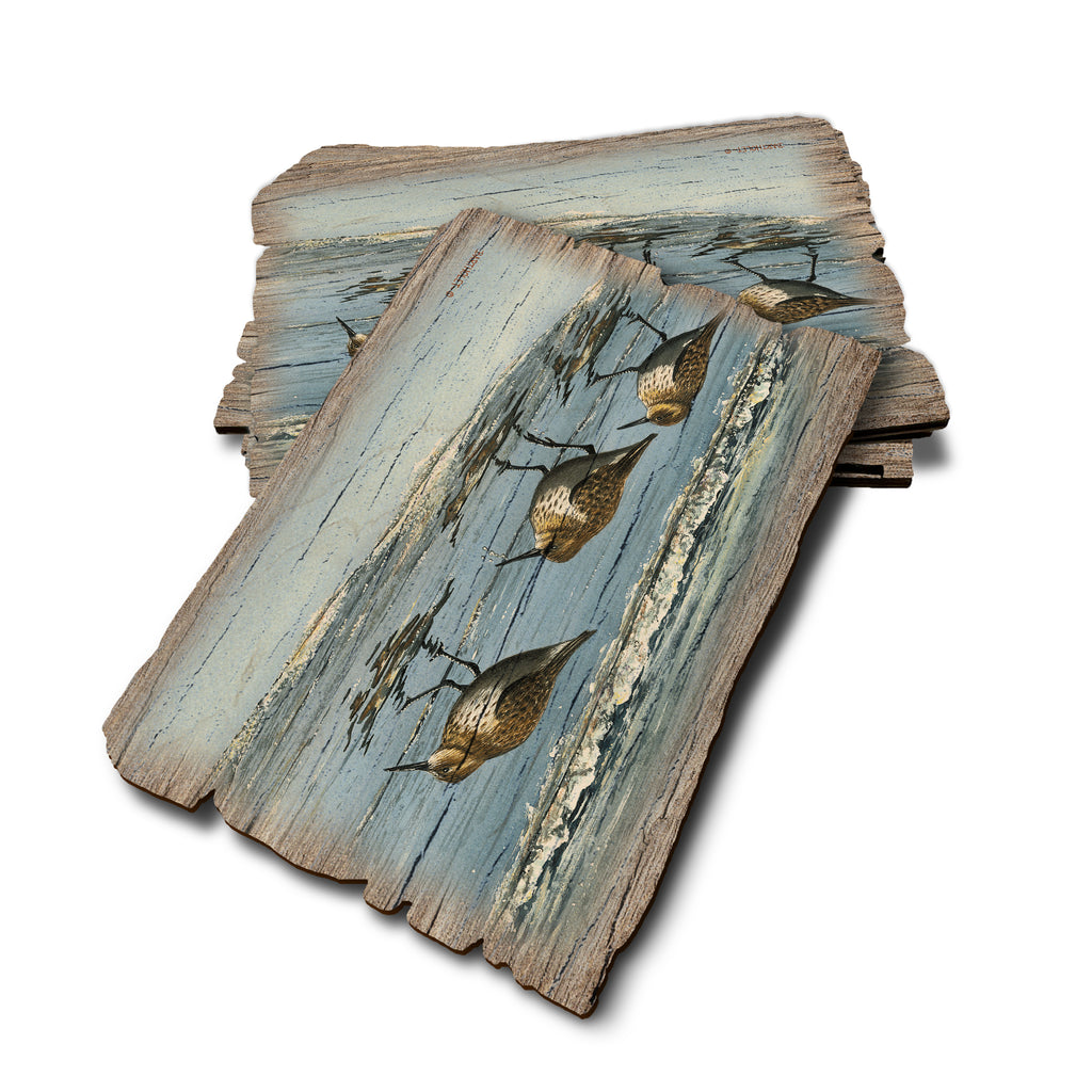 Bartholet's Beach Breakfast - Weathered Edge Rustic Edge Postcard (5pk // $2.80ea)