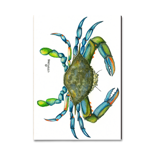 Magnet: Classic Edge - Bartholet's Blue Crab
