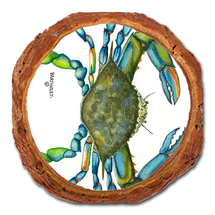Coaster: Live Edge - Bartholet's Blue Crab (Pack of 5)