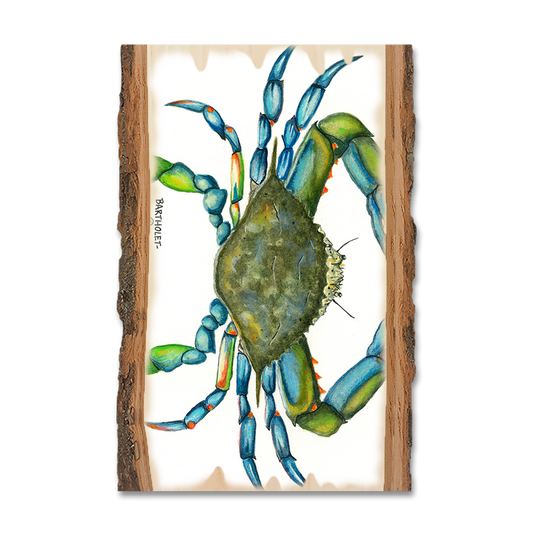 Magnet: Live Edge - Bartholet's Blue Crab