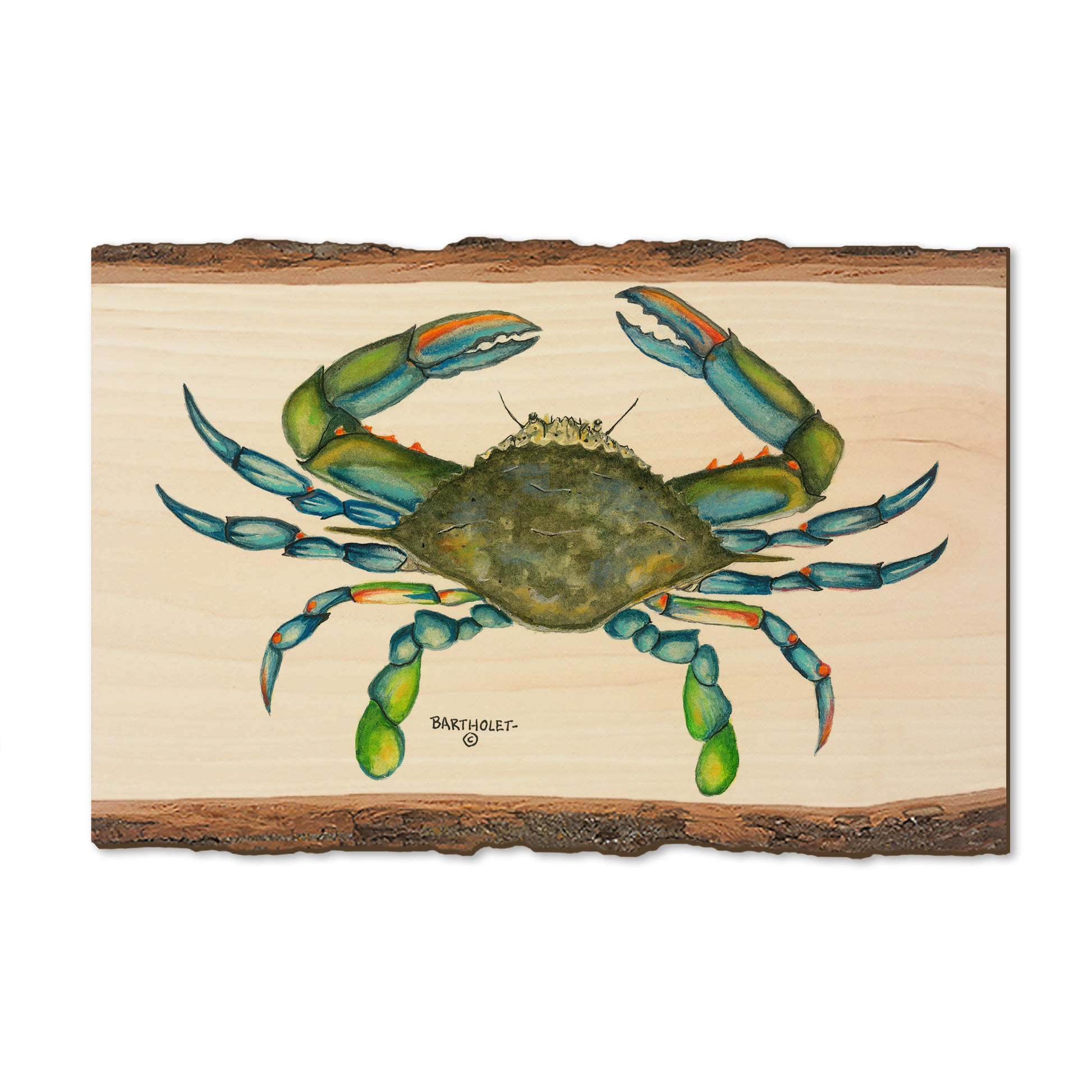 Bartholet's Blue Crab - Live Edge Magnet Live Edge Postcard (5pk // $2.80ea)