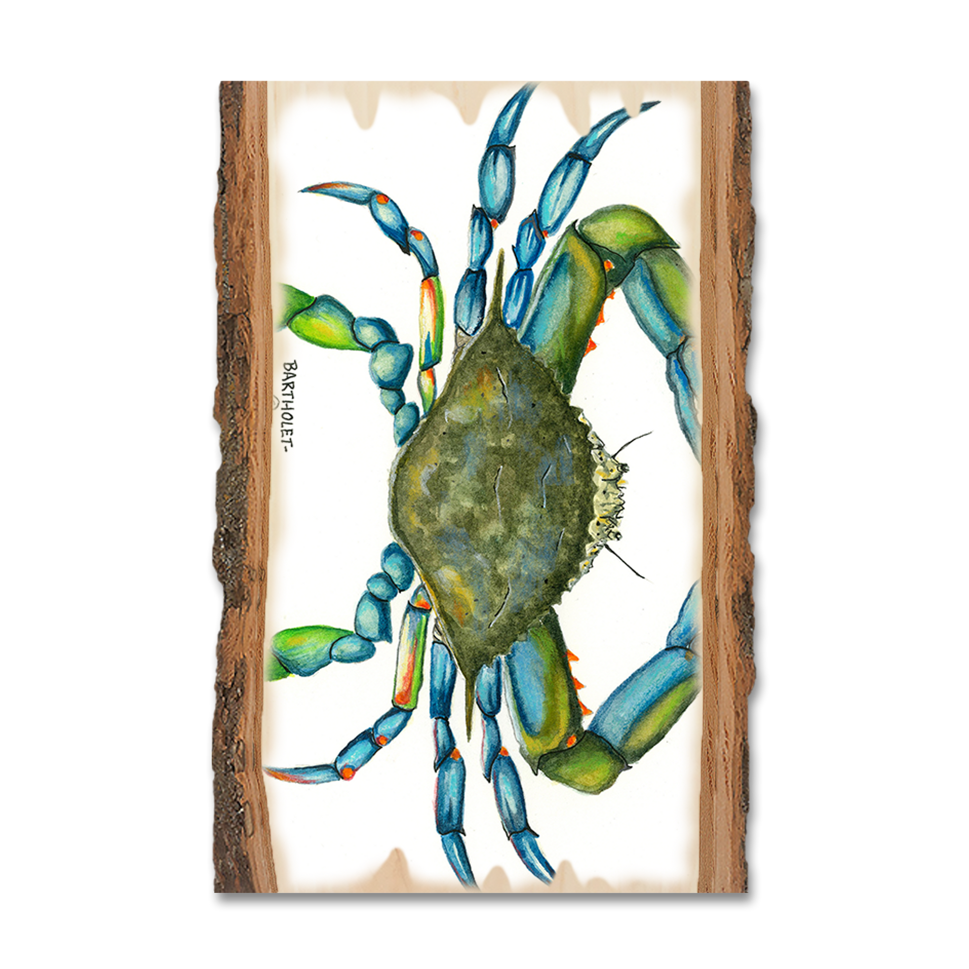 Postcard: Live Edge - Bartholet's Blue Crab