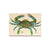 Bartholet's Blue Crab - Magnet Classic Edge Magnet (5pk // $2.80ea)