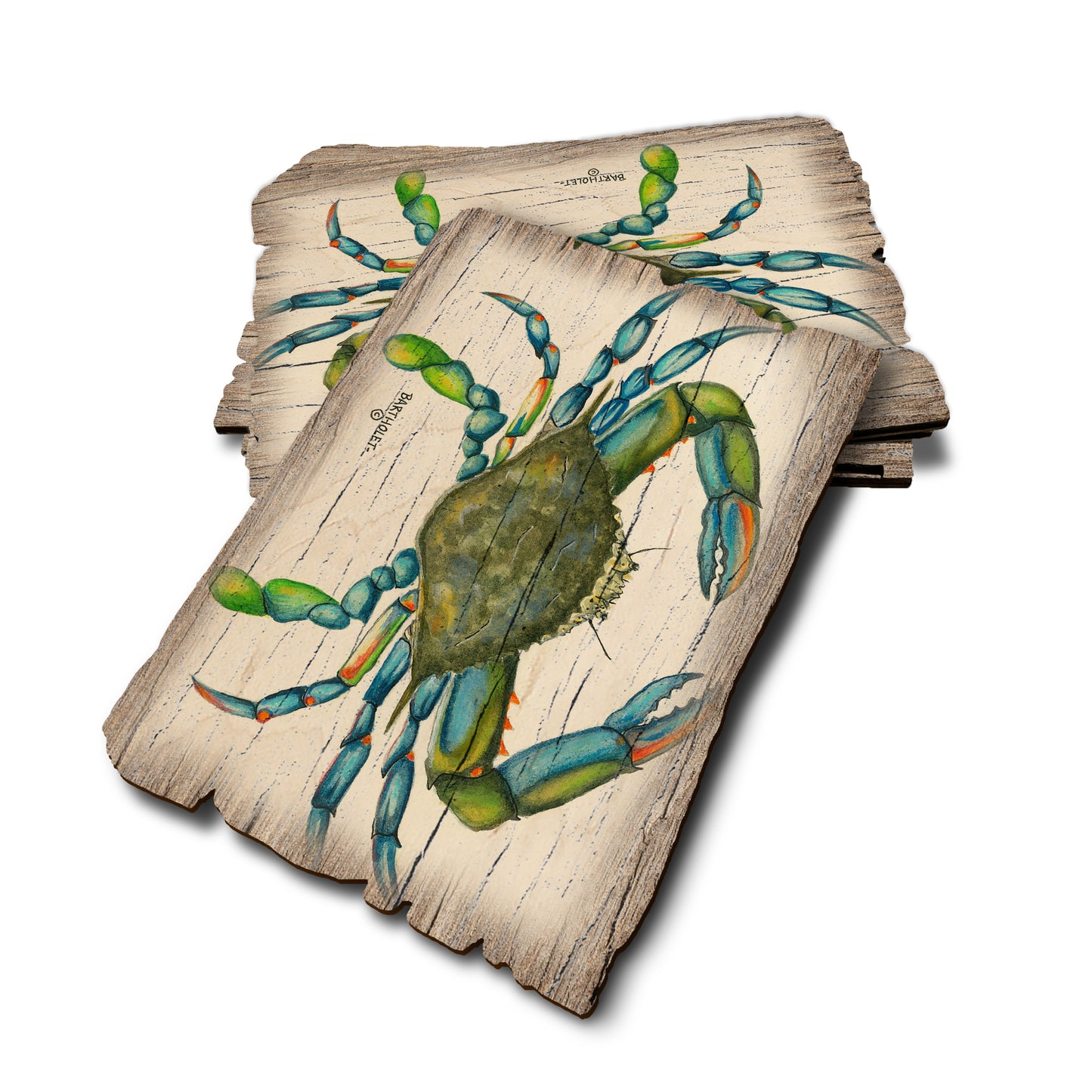 Bartholet's Blue Crab - Weathered Edge Weathered Edge Postcard (5pk // $2.80ea)