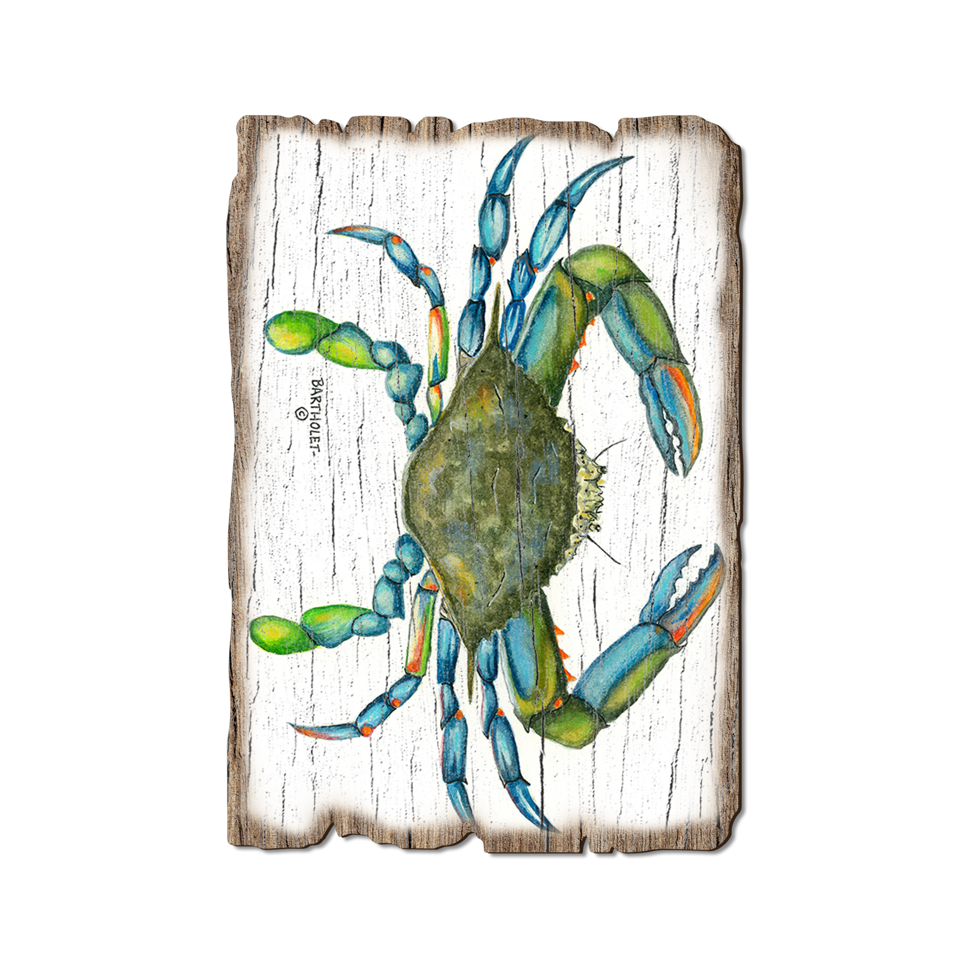 Greeting Card: Weathered Edge - Bartholet's Blue Crab (Pack of 5)