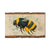 Bartholet's Bumble Bee  - Live Edge Live Edge Magnet (5pk // $2.80ea)