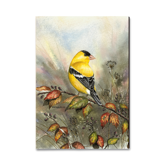 Greeting Card: Classic Edge - Bartholet's Backyard Gold