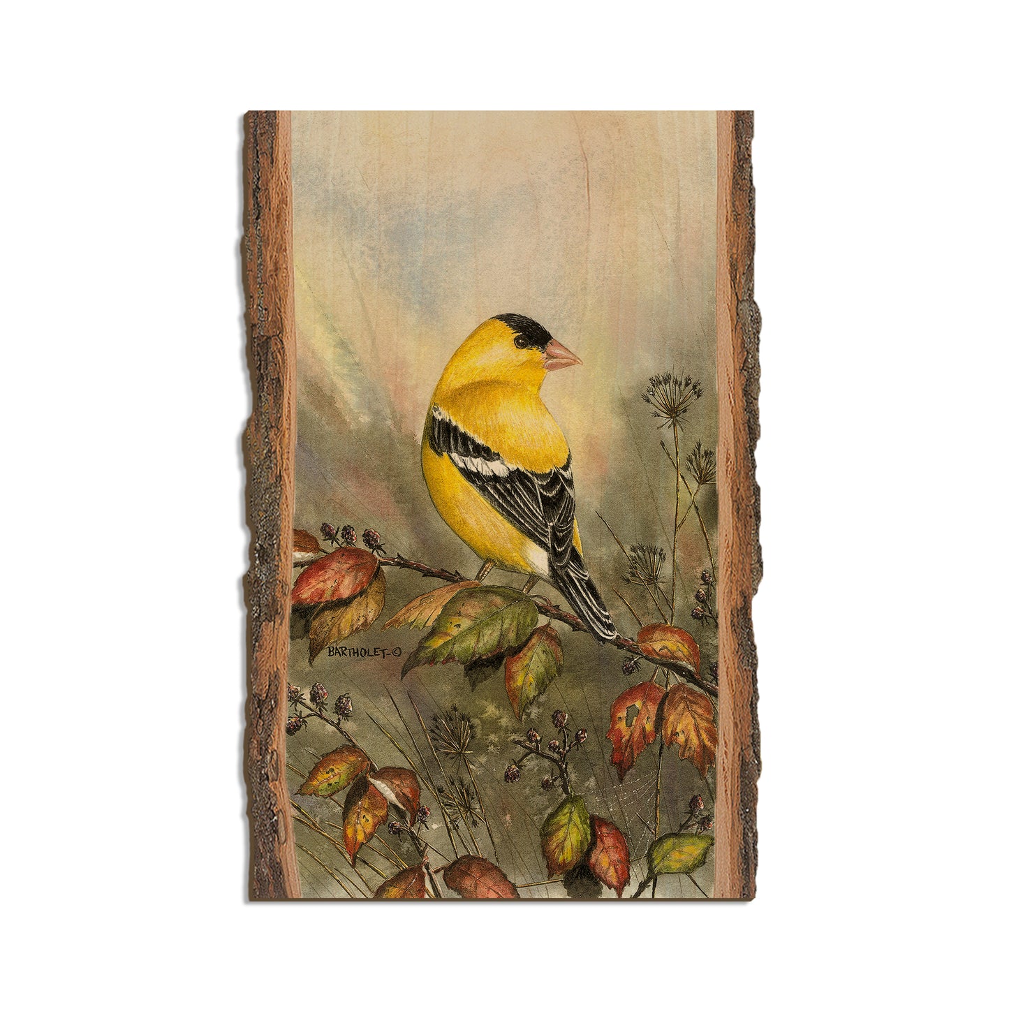 Bartholet's Backyard Gold  - Live Edge Live Edge Magnet (5pk // $2.80ea)