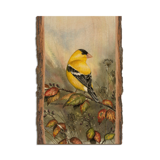 Bartholet's Backyard Gold  - Live Edge Live Edge Postcard (5pk // $2.80ea)