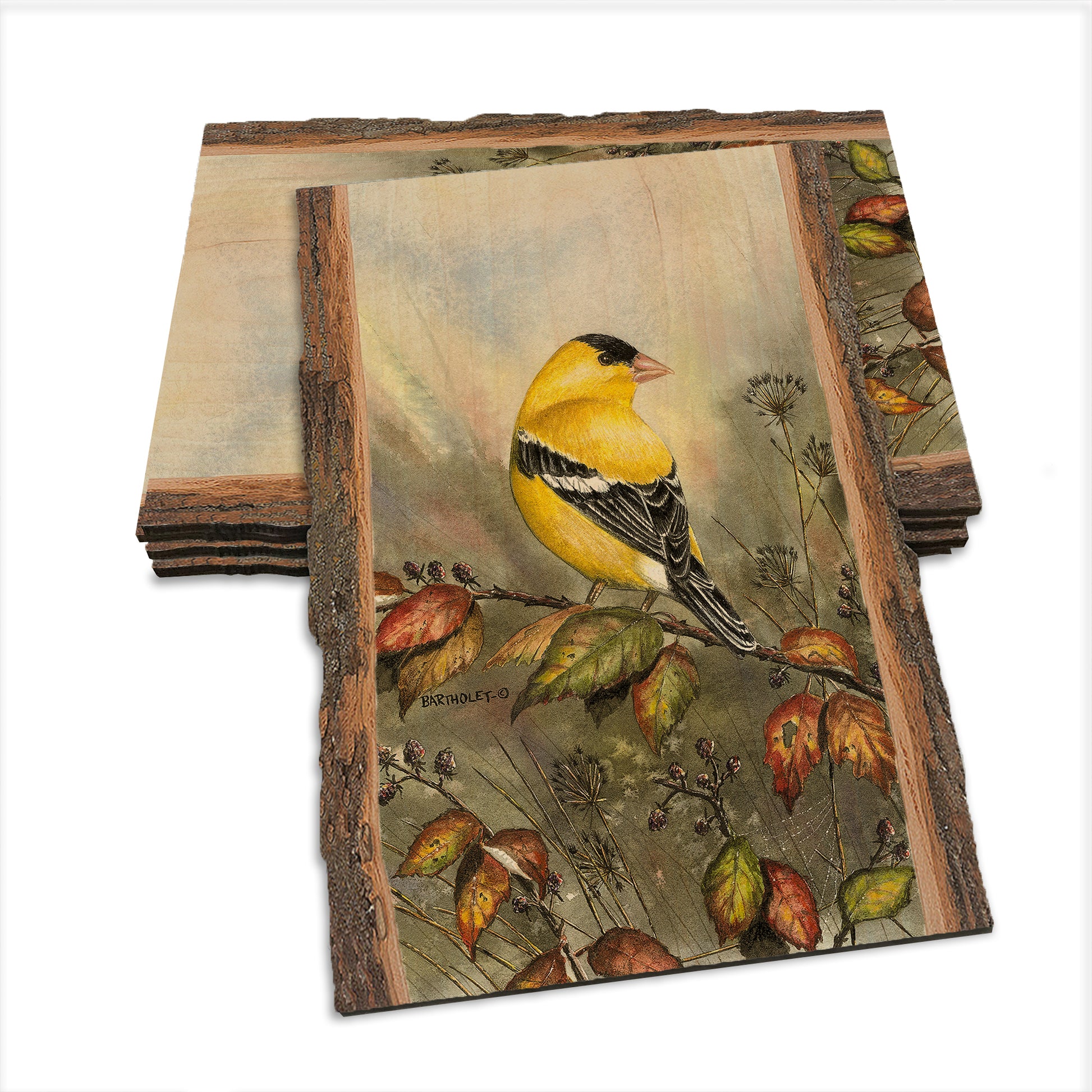 Bartholet's Backyard Gold  - Live Edge Live Edge Postcard (5pk // $2.80ea)