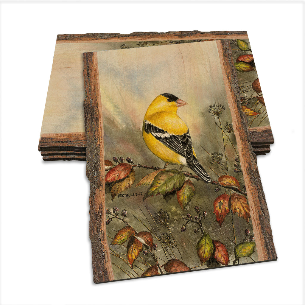 Bartholet's Backyard Gold  - Live Edge Live Edge Postcard (5pk // $2.80ea)