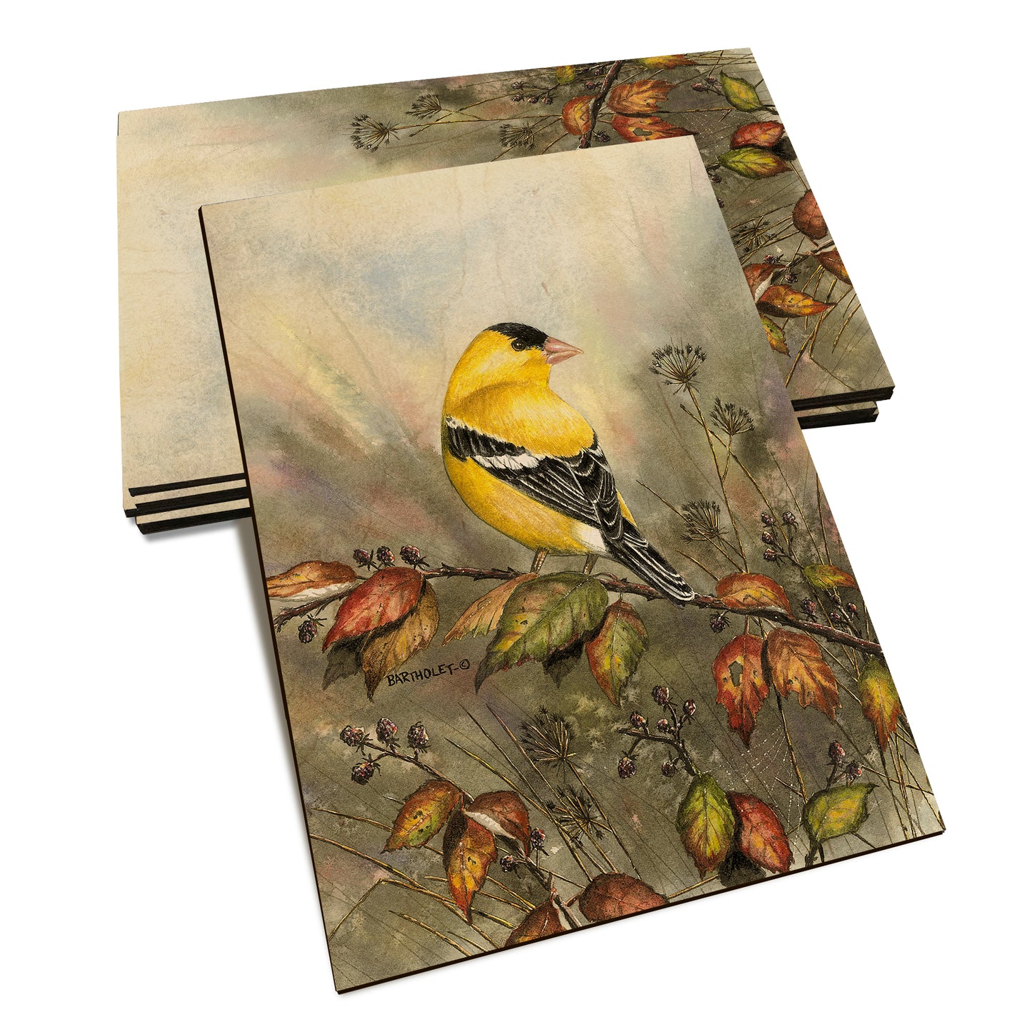 Bartholet's Backyard Gold  - Classic Edge Classic Edge Postcard (5pk // $2.80ea)