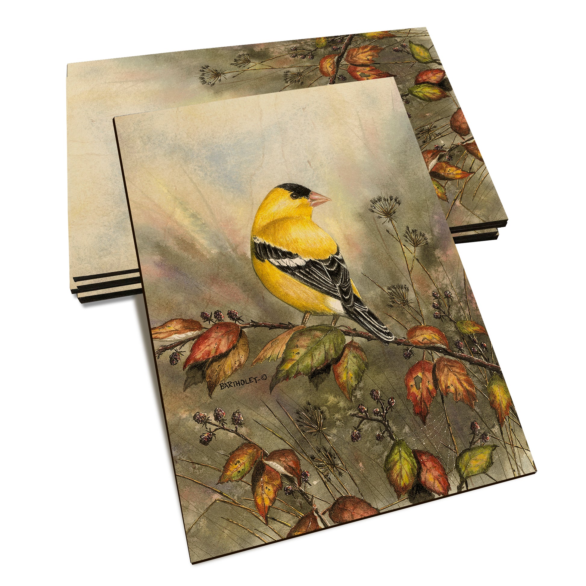 Bartholet's Backyard Gold  - Classic Edge Classic Edge Postcard (5pk // $2.80ea)