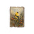Bartholet's Backyard Gold - Rustic Edge Postcards & Magnets Rustic Edge Magnet (5pk // $2.80ea)