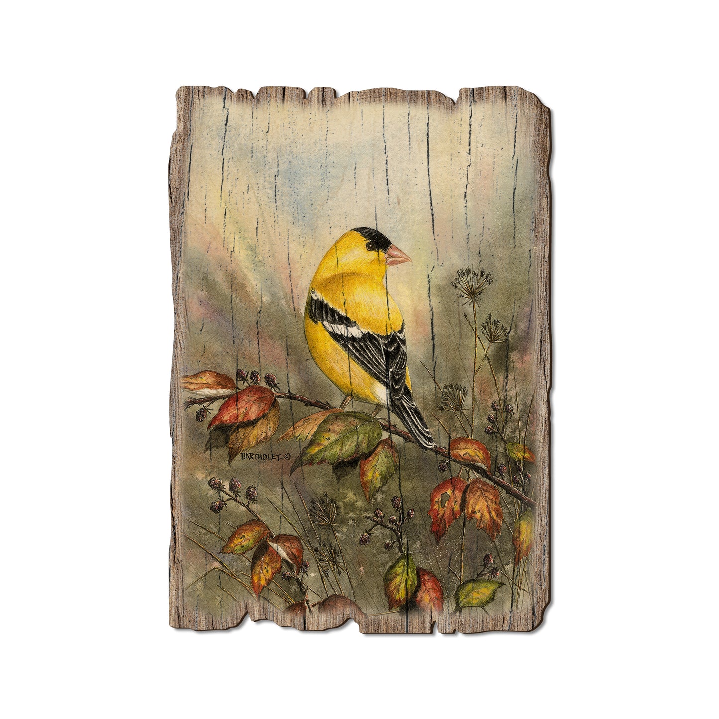 Bartholet's Backyard Gold - Rustic Edge Postcards & Magnets Rustic Edge Postcard (5pk // $2.80ea)
