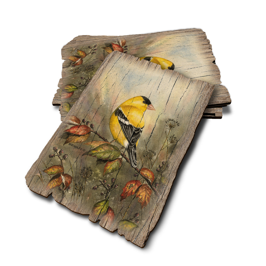 Bartholet's Backyard Gold - Weathered Edge Rustic Edge Postcard (5pk // $2.80ea)