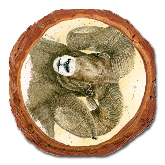 Coaster: Live Edge - Bartholet's Big Horn