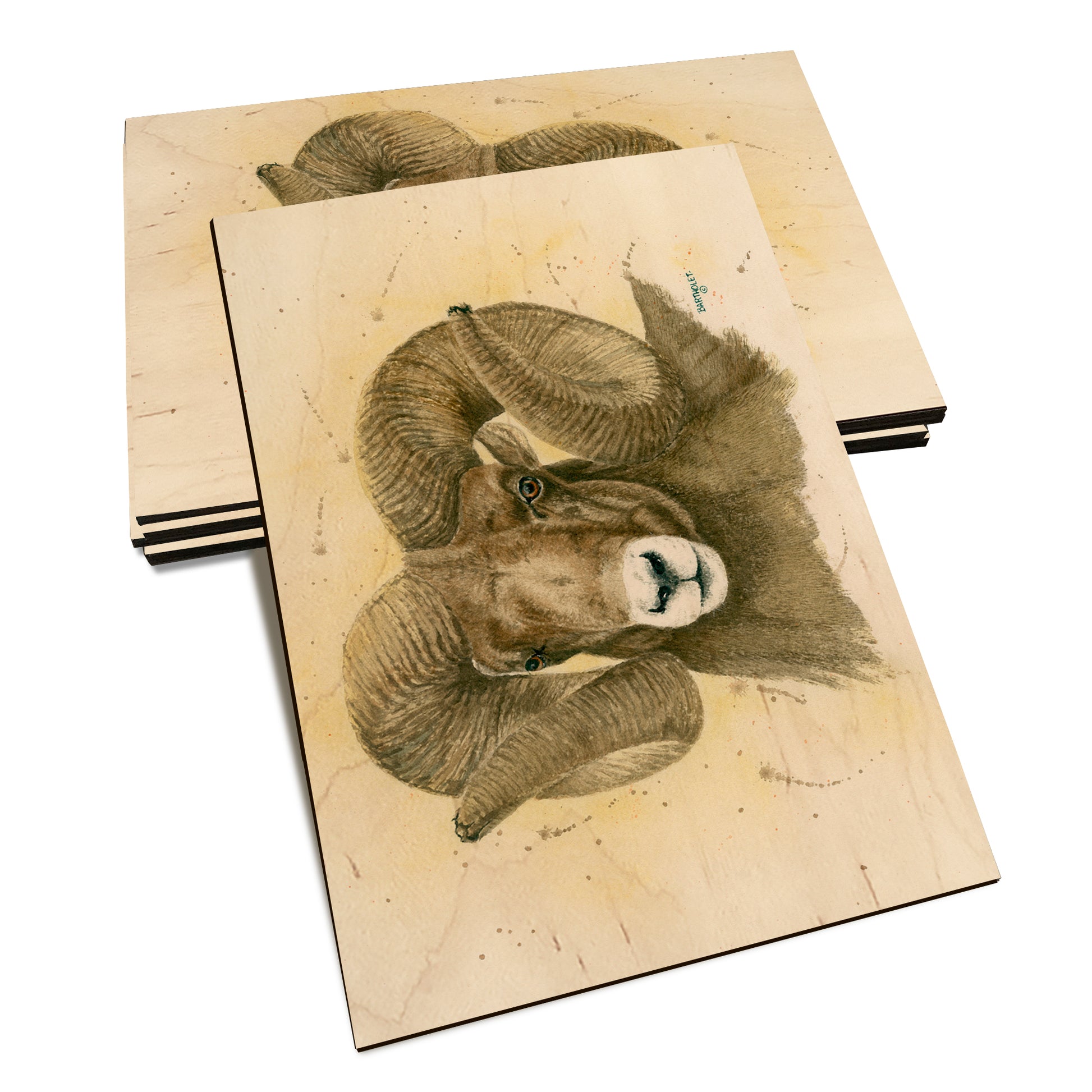 Bartholet's Big Horn  - Classic Edge Classic Edge Postcard (5pk // $2.80ea)