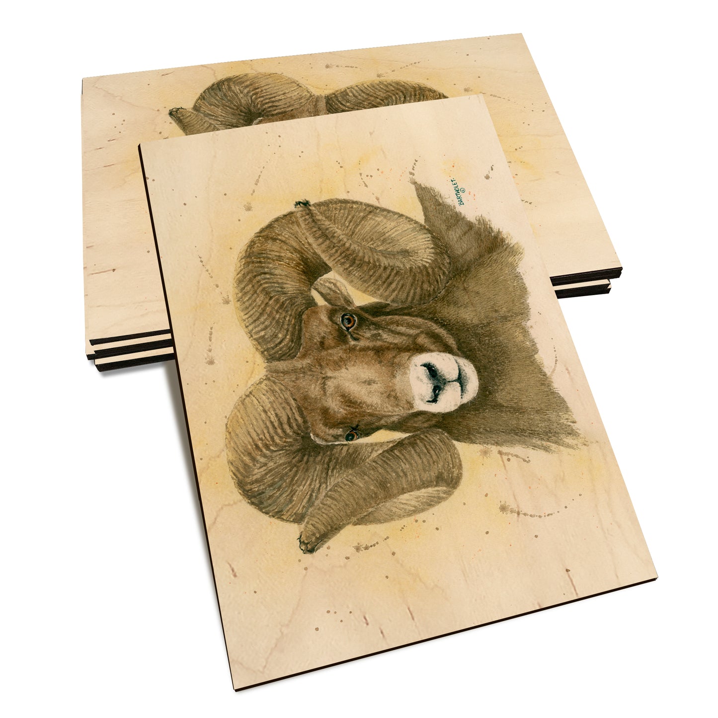 Bartholet's Big Horn  - Classic Edge Classic Edge Postcard (5pk // $2.80ea)