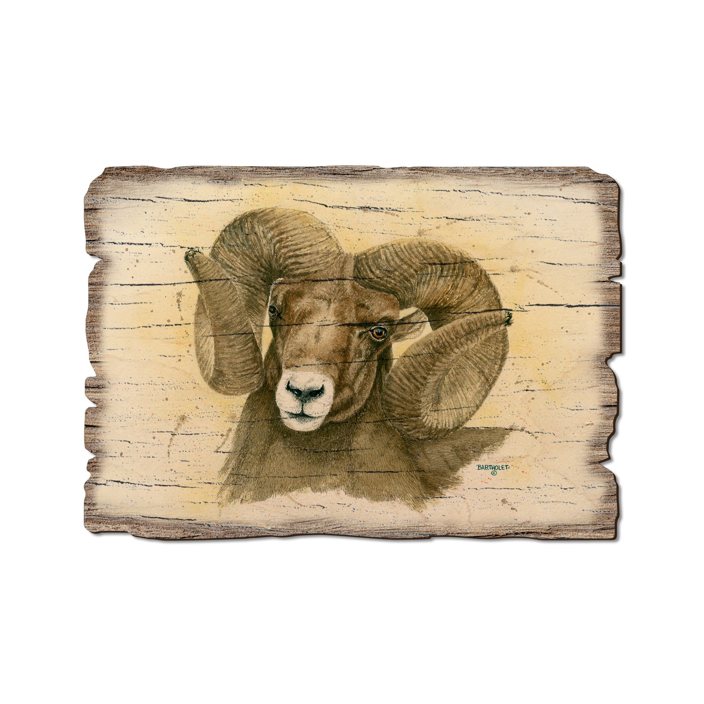 Bartholet's Big Horn - Rustic Edge Postcards & Magnets Rustic Edge Postcard (5pk // $2.80ea)