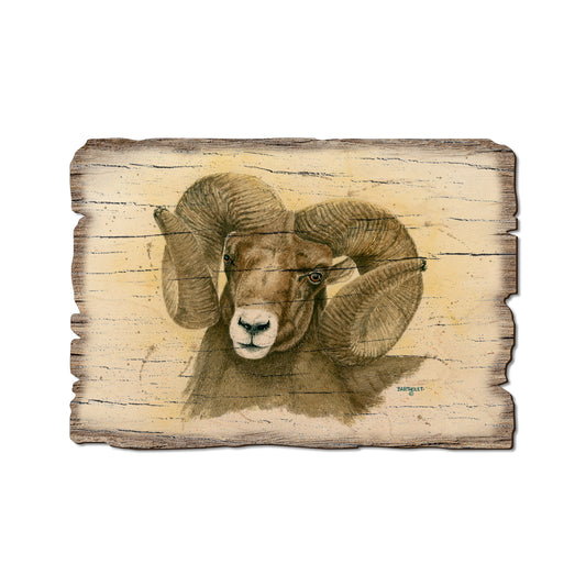 Bartholet's Big Horn - Rustic Edge Postcards & Magnets Rustic Edge Postcard (5pk // $2.80ea)