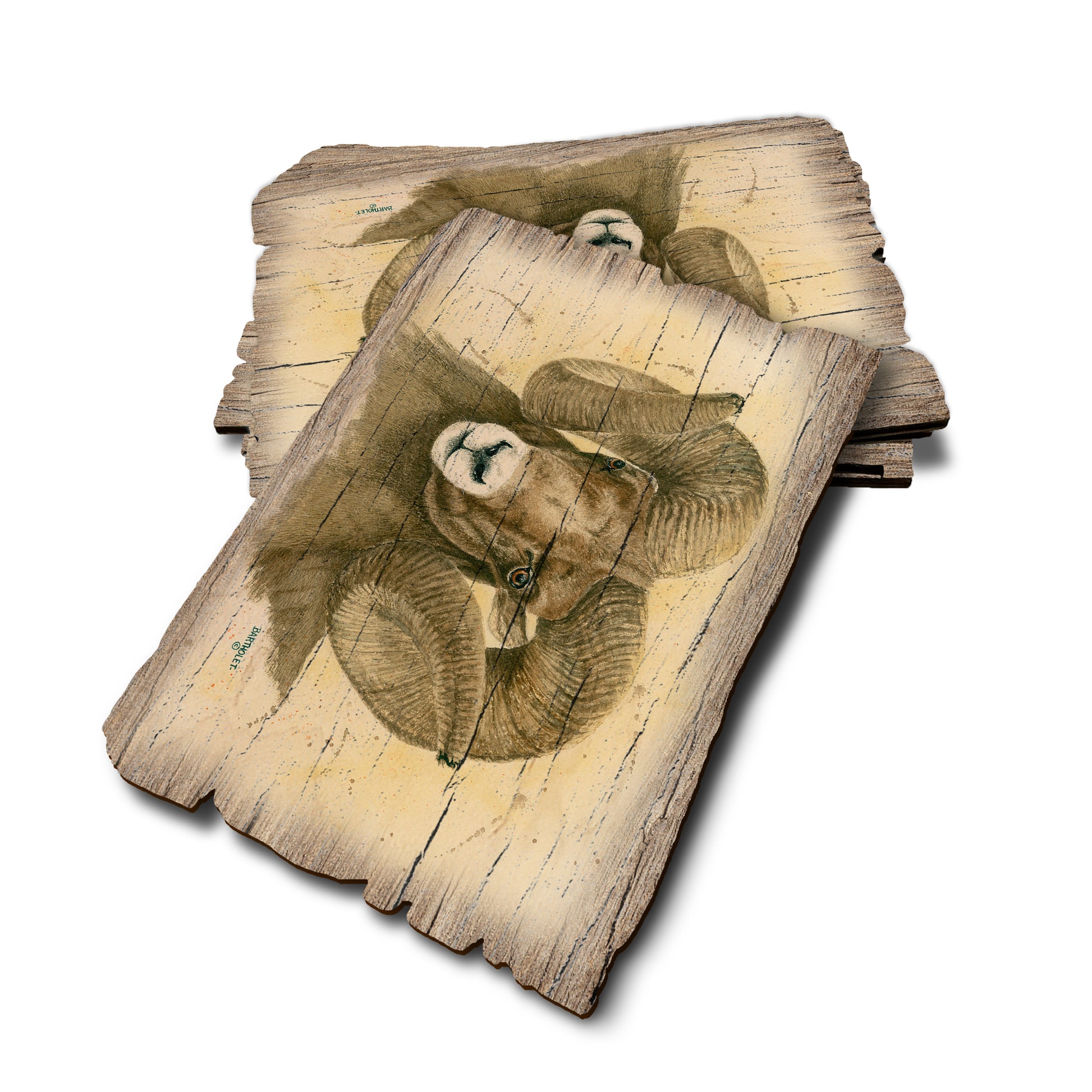 Bartholet's Big Horn - Weathered Edge Rustic Edge Postcard (5pk // $2.80ea)