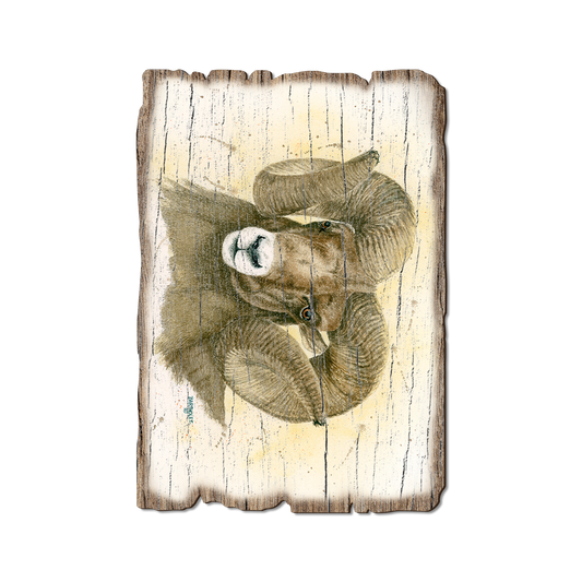 Greeting Card: Weathered Edge - Bartholet's Big Horn (Pack of 5)