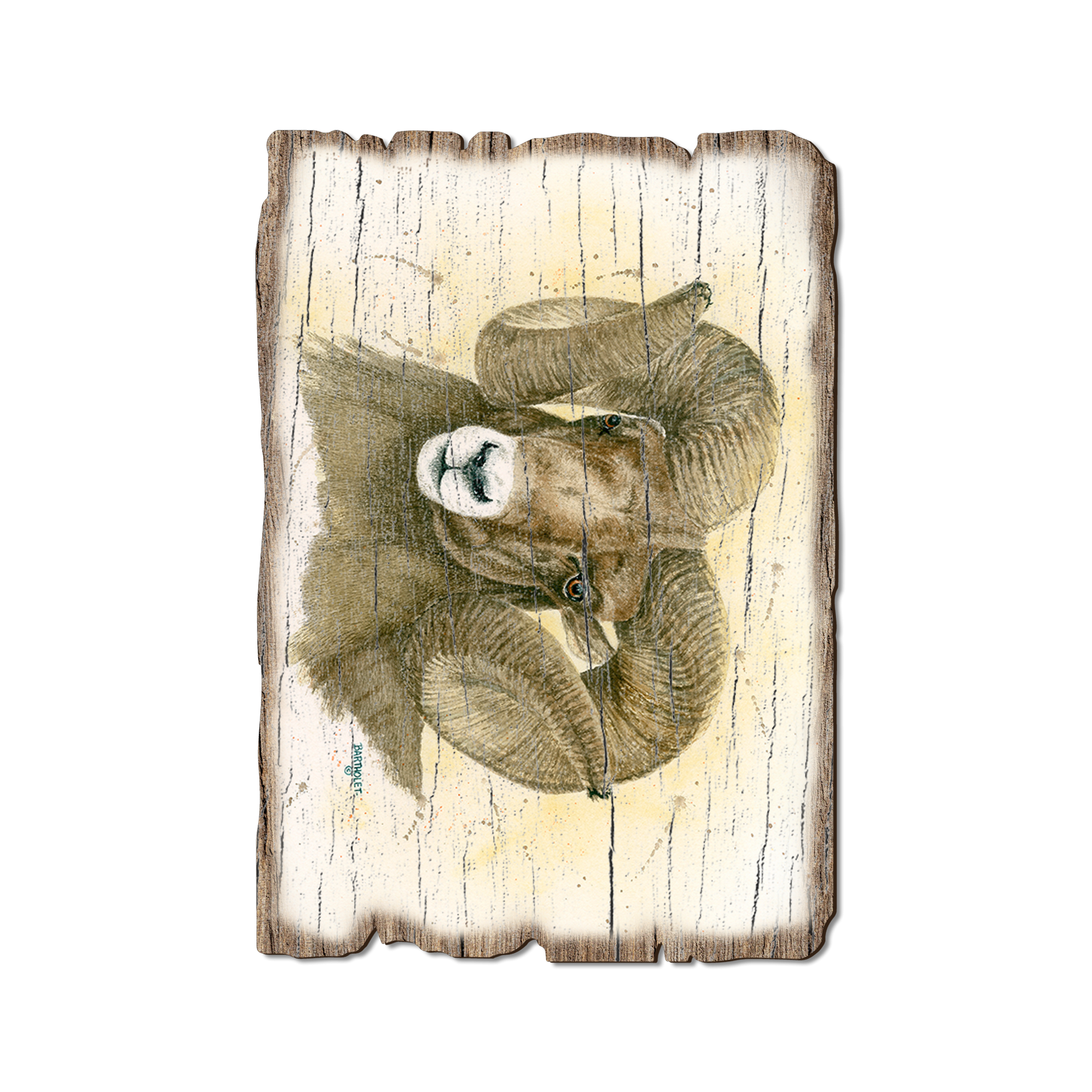 Postcard: Weathered Edge - Bartholet's Big Horn (Pack of 5)