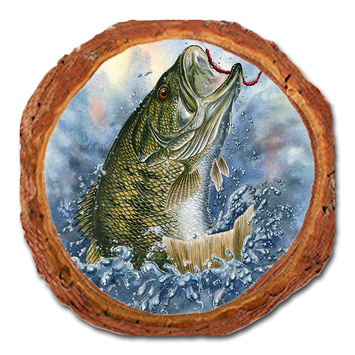 Coaster: Live Edge - Bartholet's Bucket Mouth (Pack of 5)