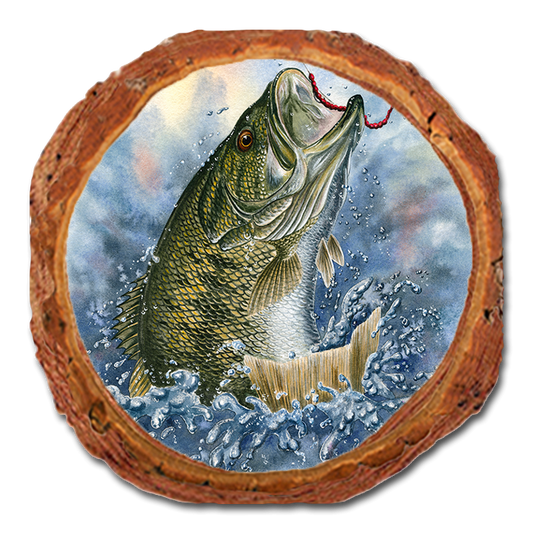 Coaster: Live Edge - Bartholet's Bucket Mouth (Pack of 5)
