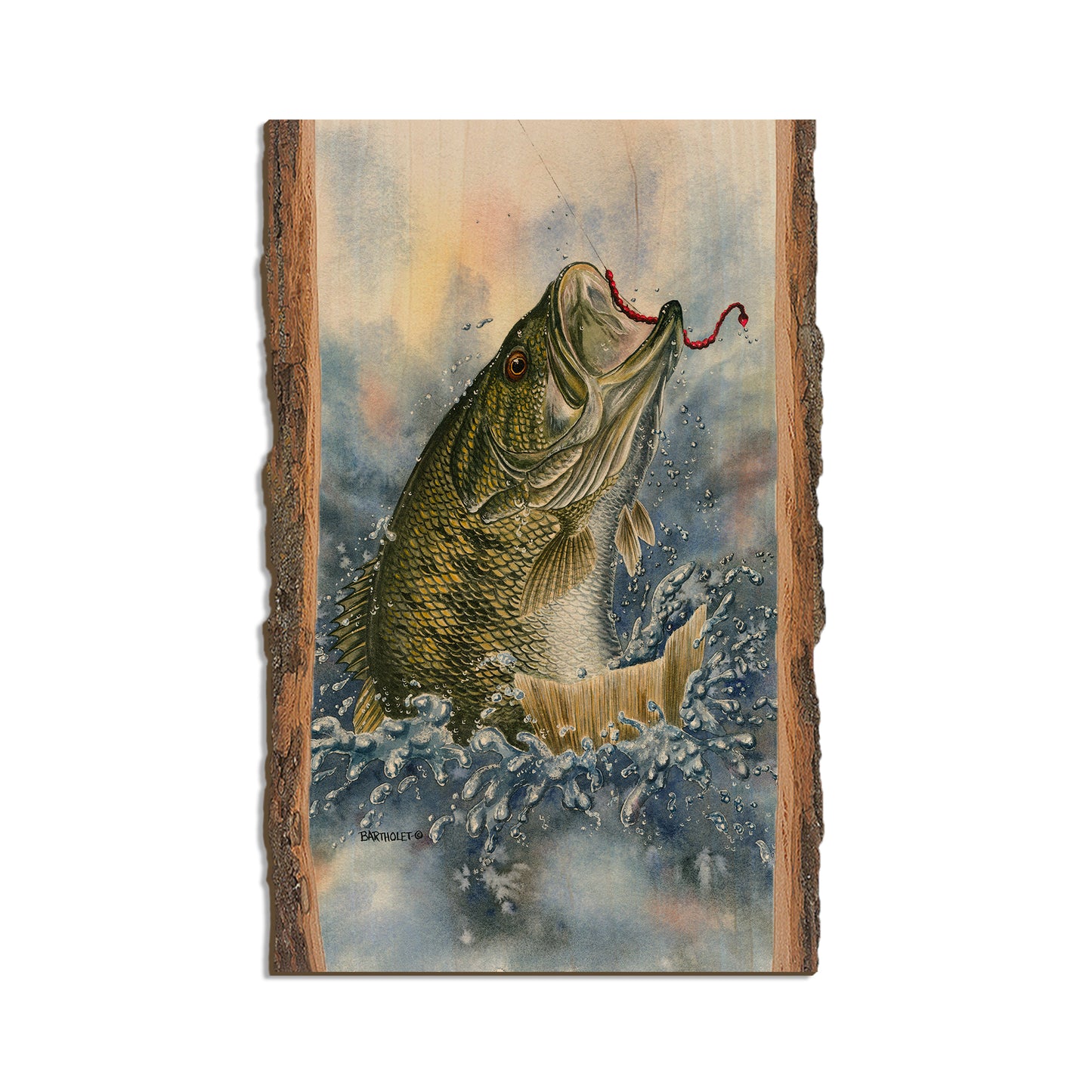Bartholet's Bucket Mouth  - Live Edge Live Edge Magnet (5pk // $2.80ea)