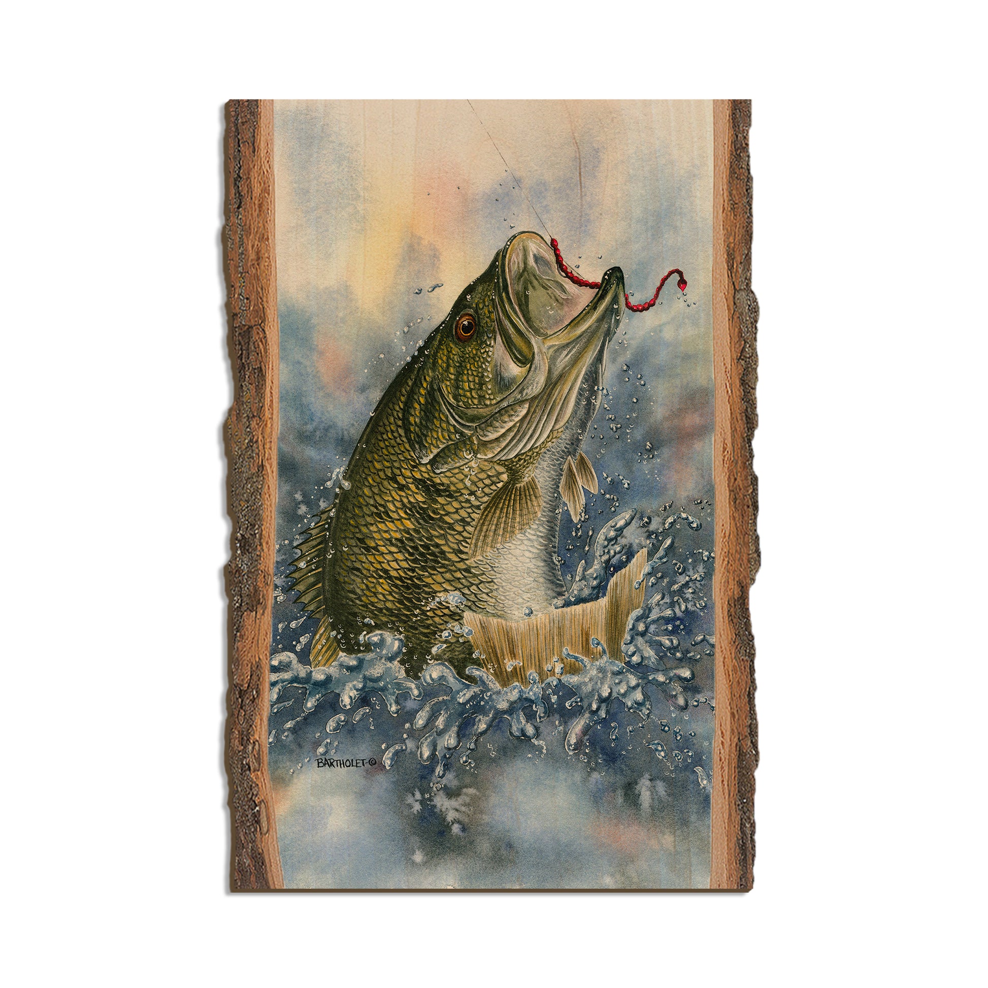 Bartholet's Bucket Mouth  - Live Edge Live Edge Postcard (5pk // $2.80ea)