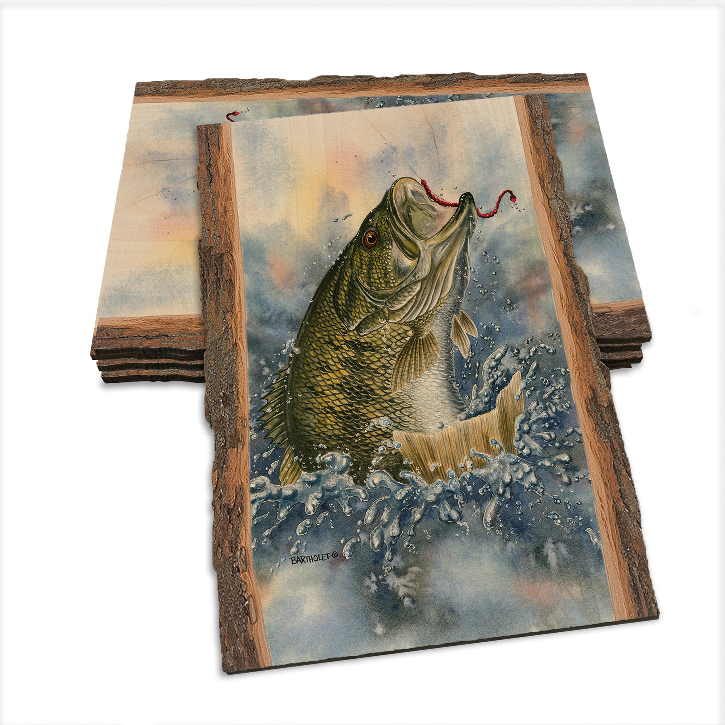 Bartholet's Bucket Mouth  - Live Edge Live Edge Postcard (5pk // $2.80ea)